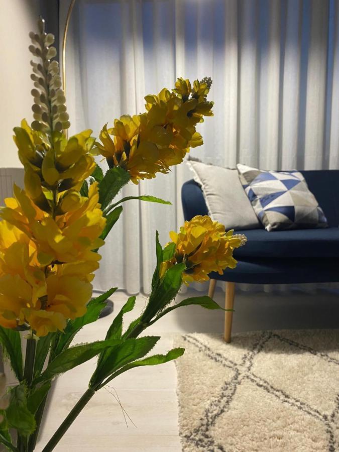 Alma Rose Apartment Korcza Zewnętrze zdjęcie