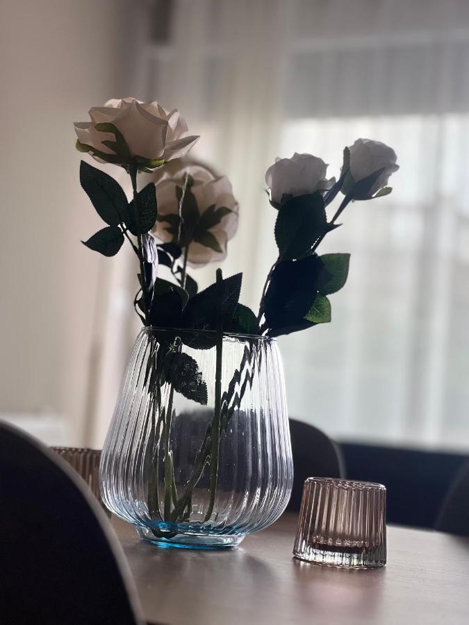 Alma Rose Apartment Korcza Zewnętrze zdjęcie