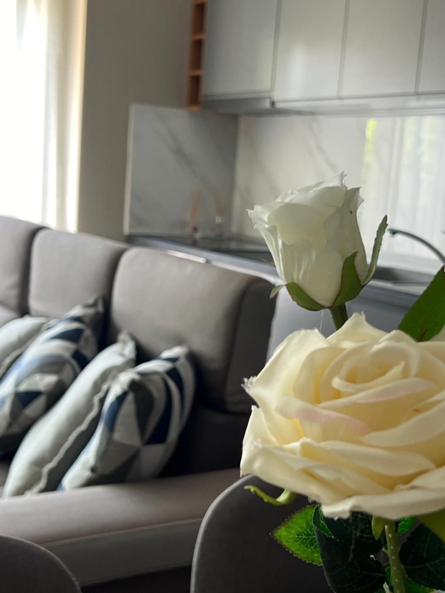 Alma Rose Apartment Korcza Zewnętrze zdjęcie
